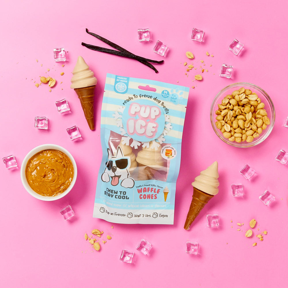 SPOT Pup Ice: sabor pollo y maní para perros