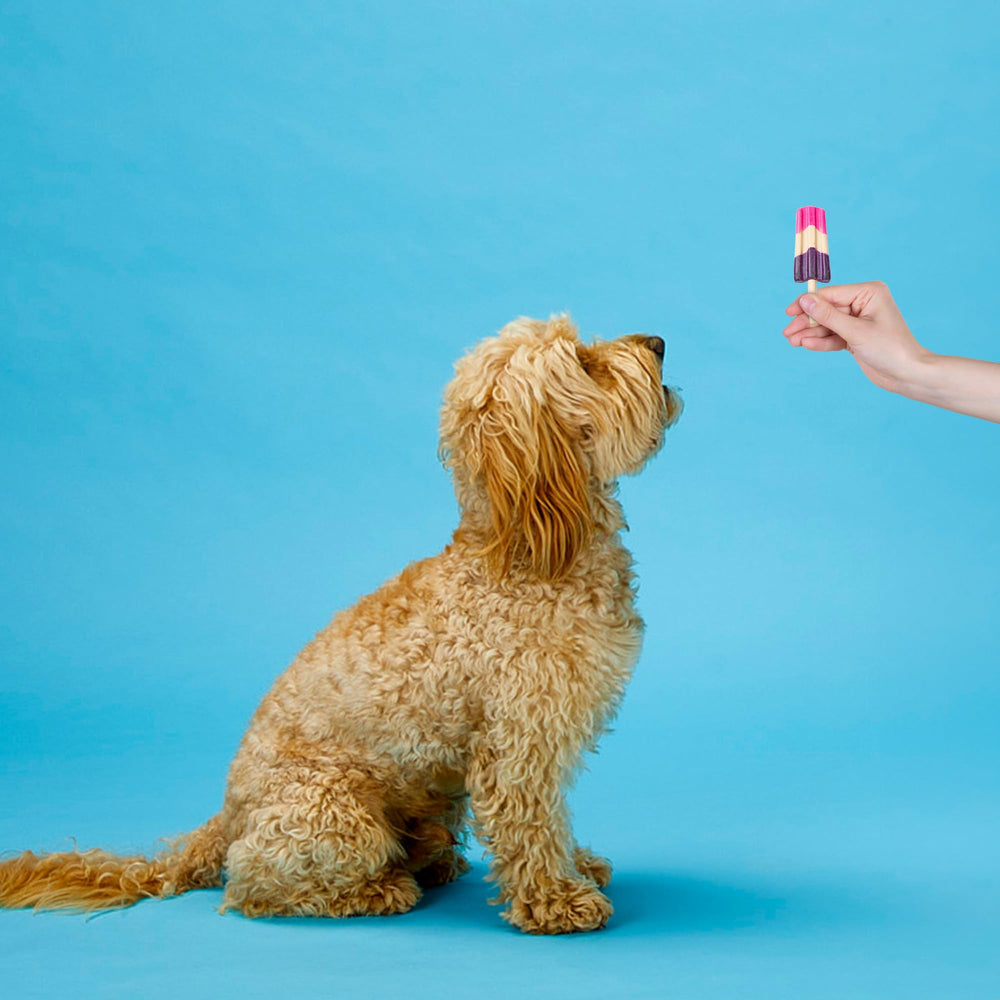 SPOT Pup Ice sin azúcares añadidos, opción más ligera