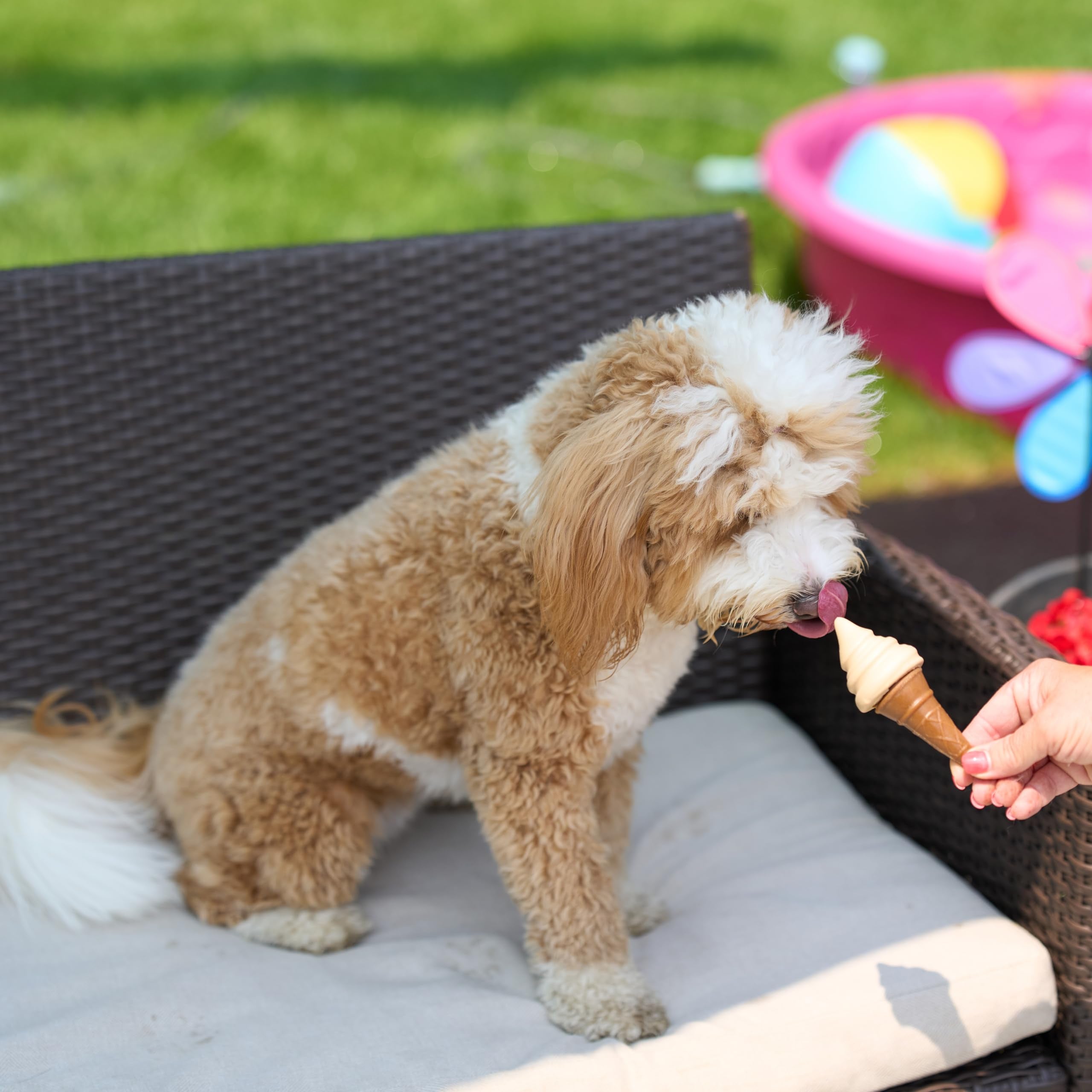 SPOT Pup Ice: uso diario para entretenimiento y enfriamiento