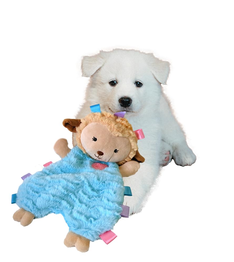 SPOT Soothers Tabbie Lambie, sonajero-cabeza, añade sorpresa y diversión