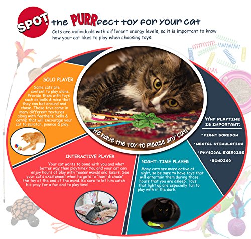 Spot Textura suave y detalle peluche: experiencia táctil agradable para mascotas