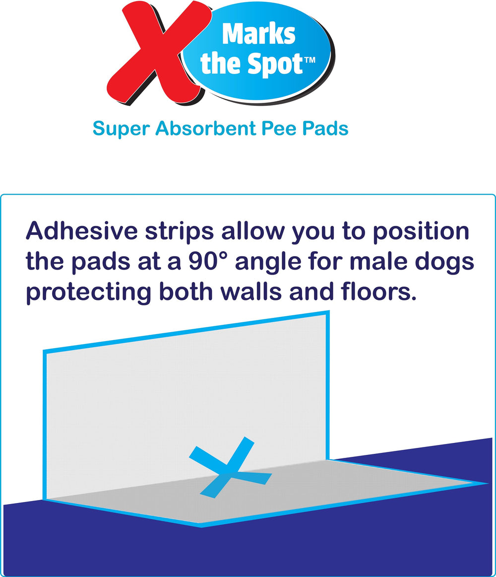 SPOT X Capas protectoras: cinco capas reducen derrames.