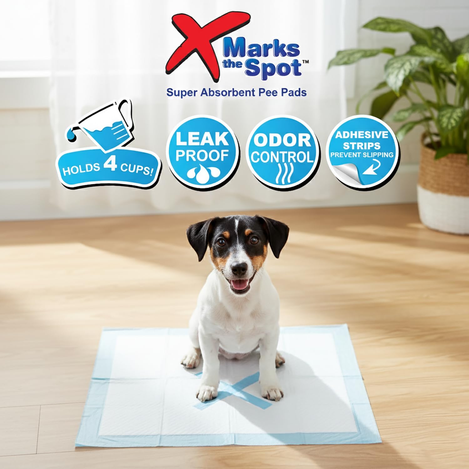 SPOT X Dimensiones 22x22: cobertura amplia para cachorros.