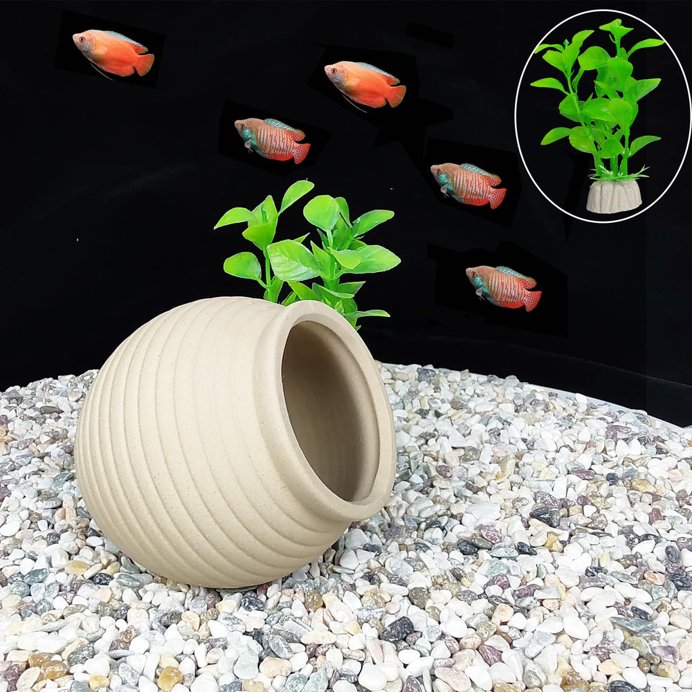 SpringSmart caverna para Betta, invita a explorar y descansar en acuarios pequeños.