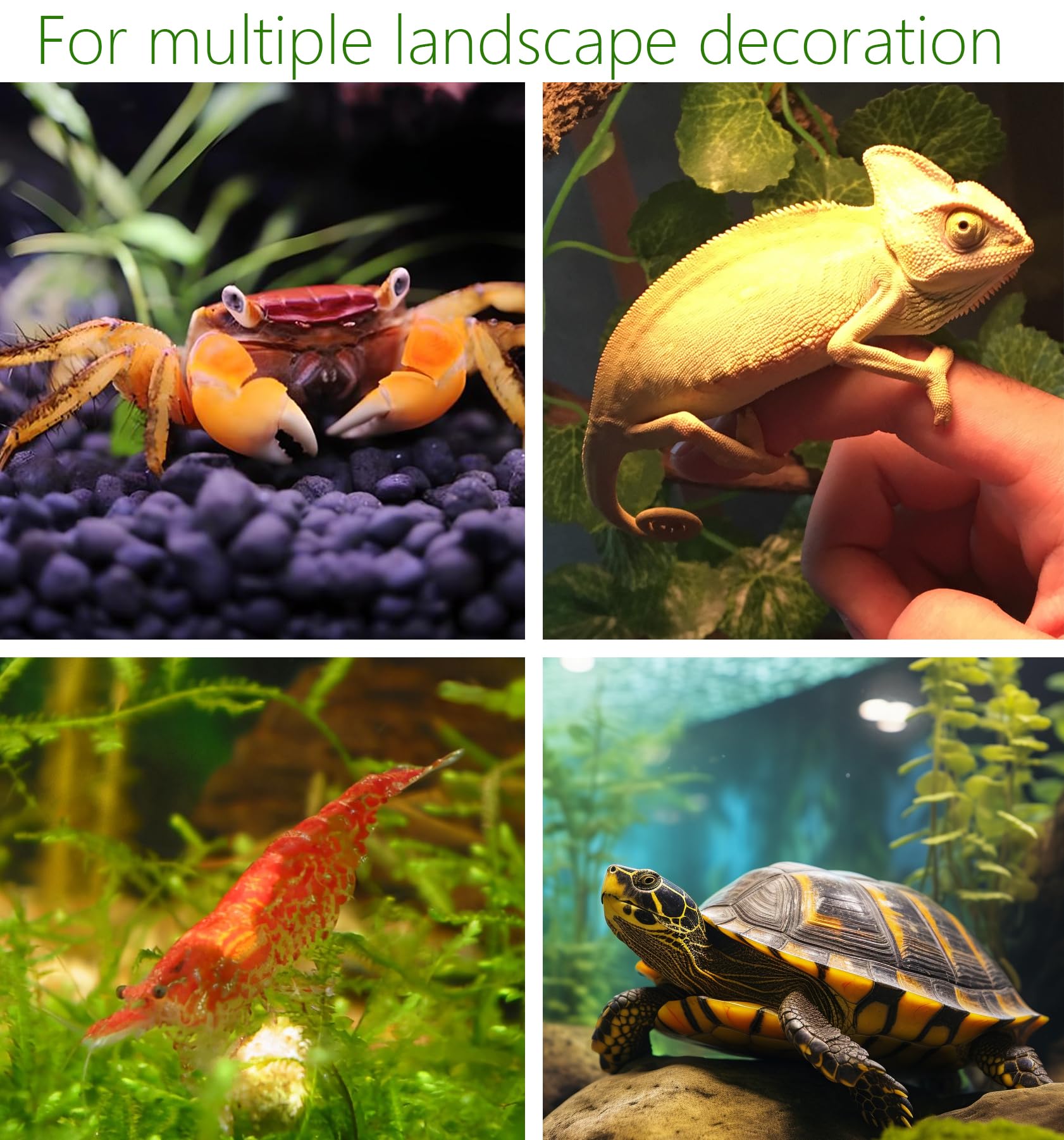 SpringSmart dúo decorativo para acuario, añade variedad y encanto al tanque.