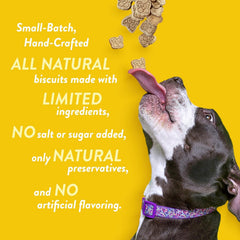 Spunky Pup Hunny Bunny bolsa reutilizable de 10 oz para snack práctico