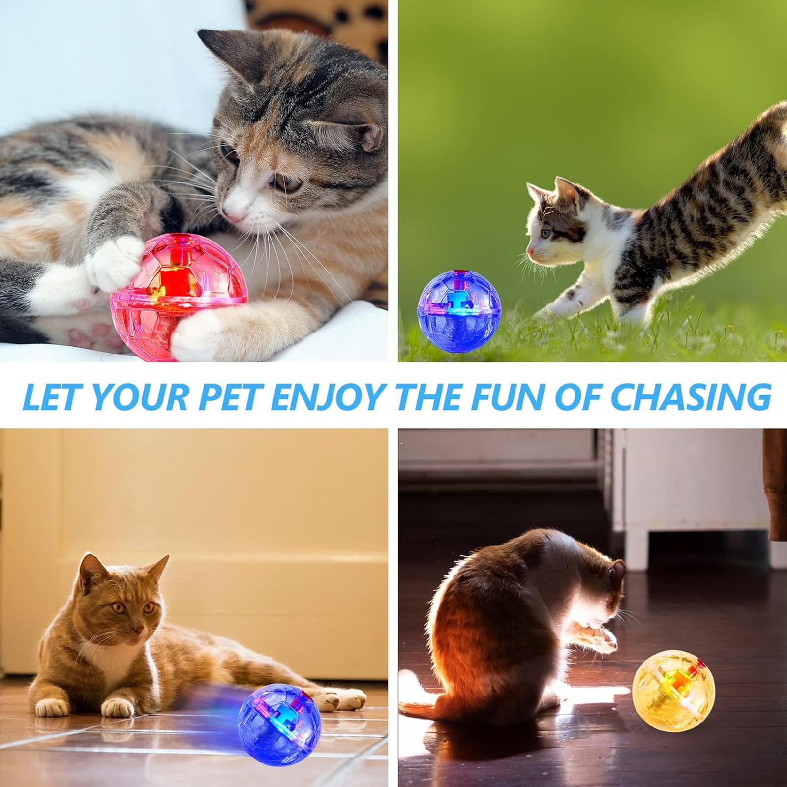 Regalo activo de Sratte para gatos y perros amantes de la actividad.