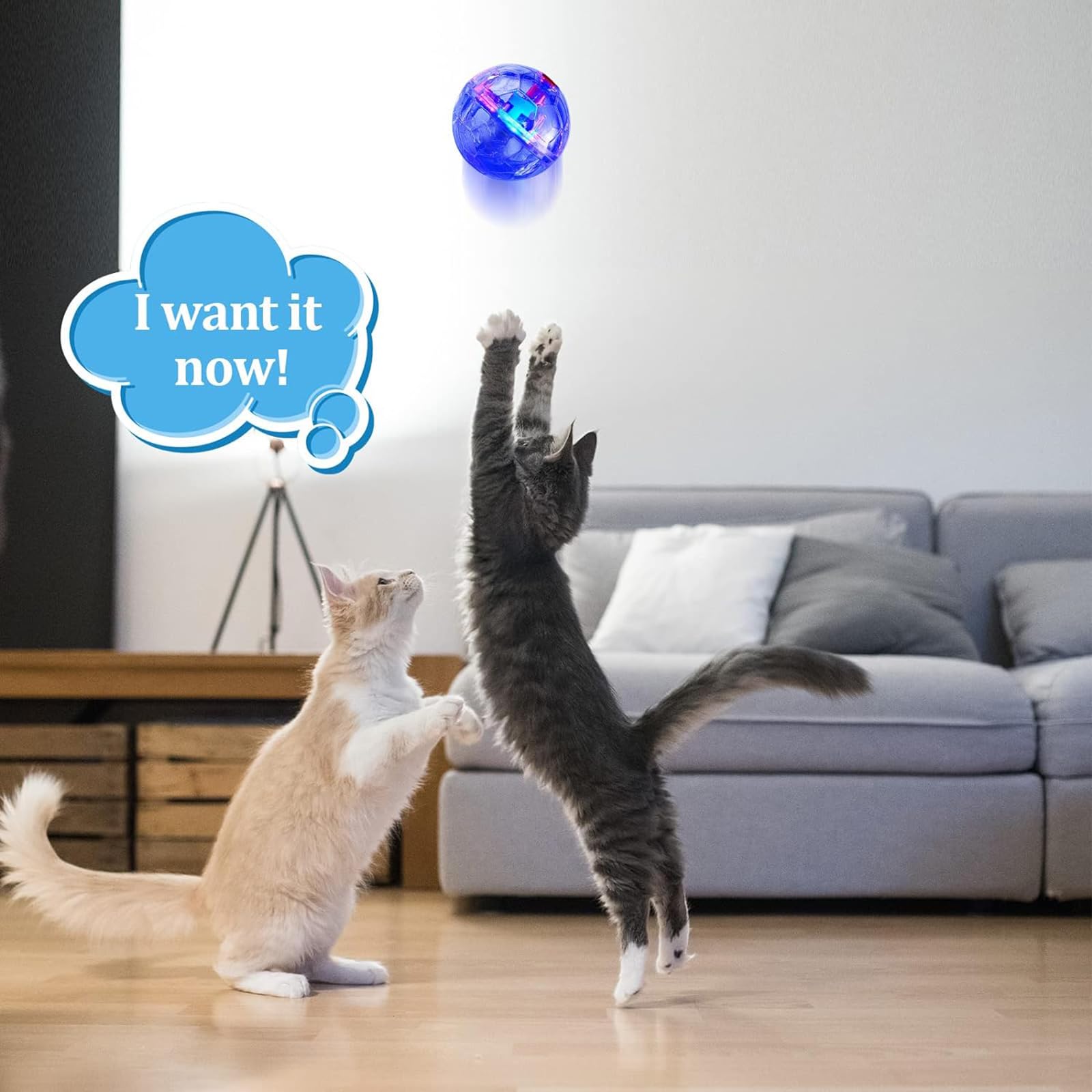 Bola Sratte tamaño 3-4 cm para gatos activos.