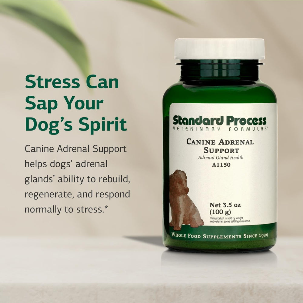 Standard Process Canine Adrenal Support, etiqueta clara para uso seguro y rastreabilidad.