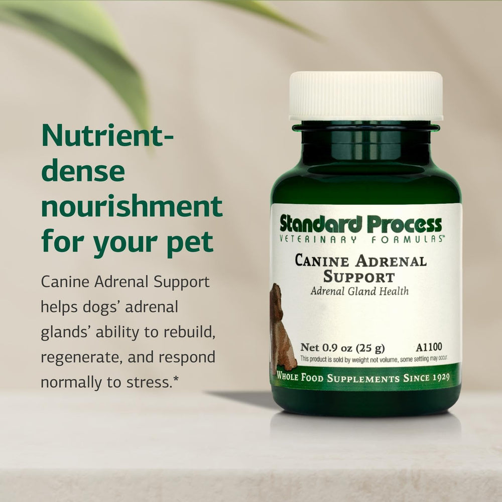 Standard Process Canine Adrenal Support ingredientes naturales en fórmula canina.