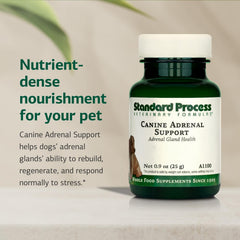 Standard Process Canine Adrenal Support ingredientes naturales en fórmula canina.