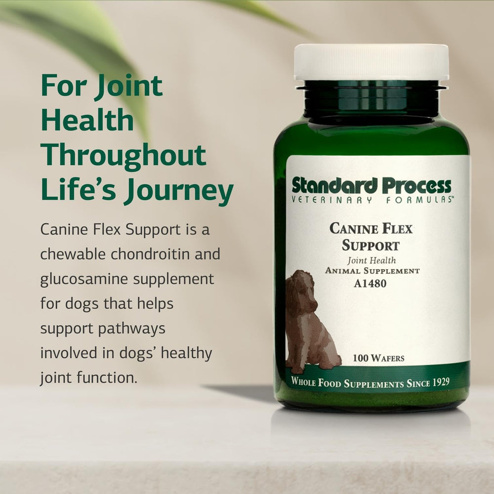 Standard Process Canine Flex Support forma ovalada, pastillas para articulaciones caninas.