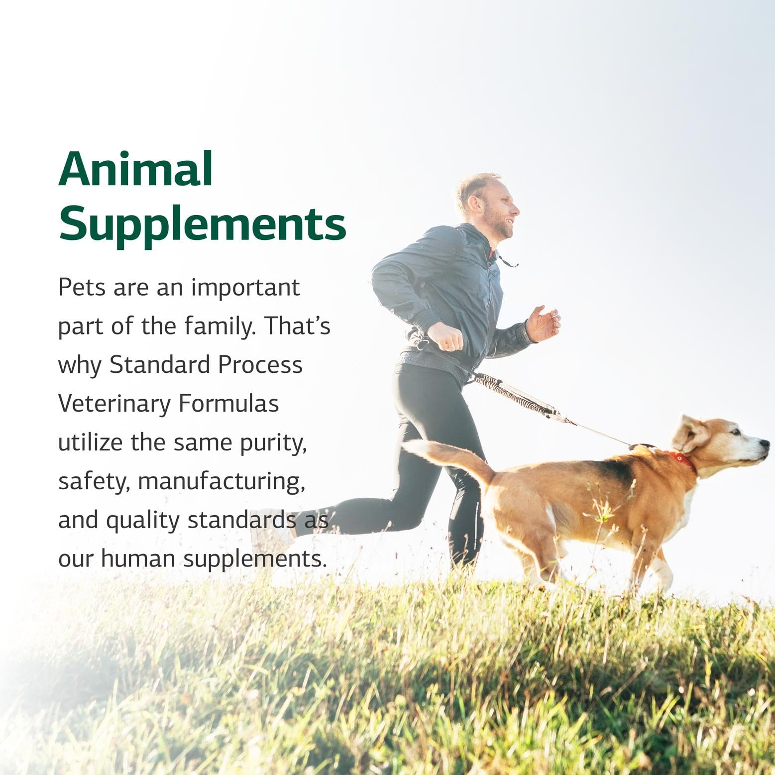 Standard Process Canine Flex Support contiene glucosamina y condroitina para articulaciones.