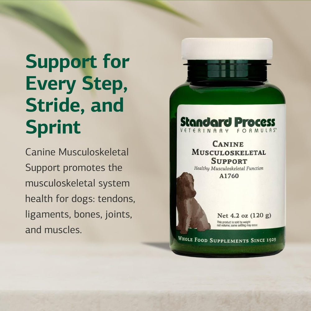 Standard Process Canine Musculoskeletal Support, dosificador de 1/2 cucharadita para envases grandes.