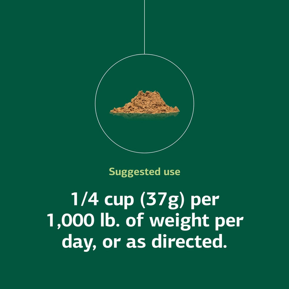 Standard Process Equine Metabolic Support extracto de té verde para apoyo antioxidante