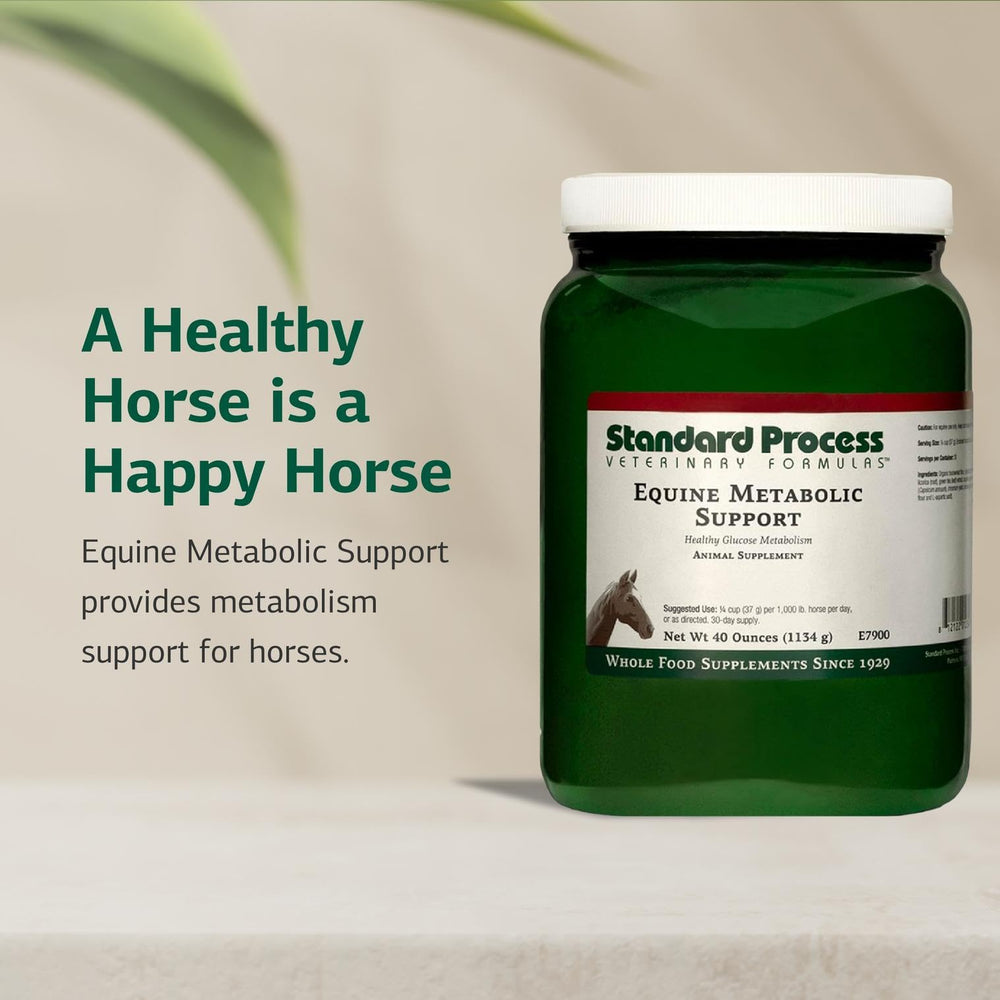 Standard Process Equine Metabolic Support medidor de polvo para dosis precisas