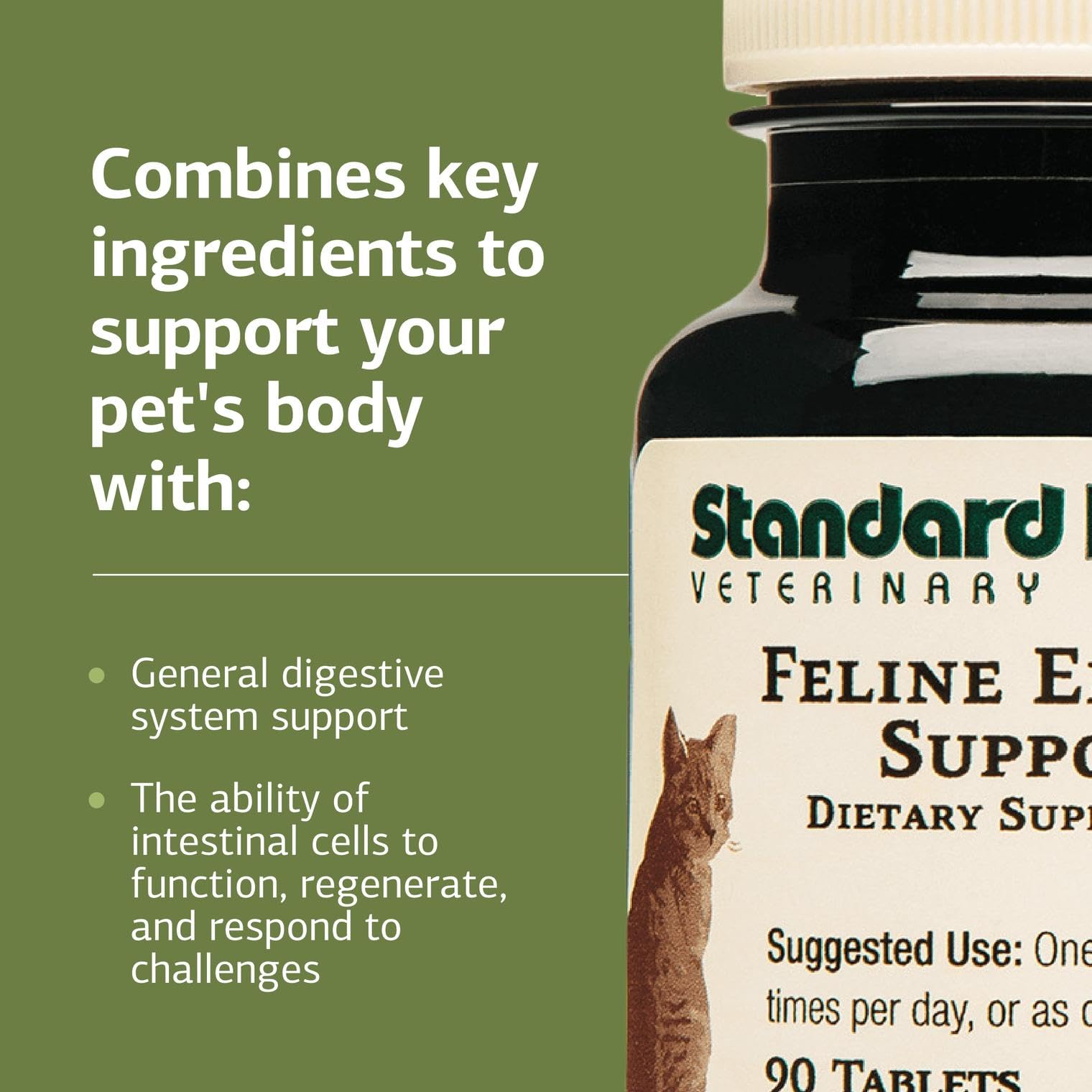 Standard Process Inc. Soporte Enterico Felino: polvo en agua para dosis flexibles.
