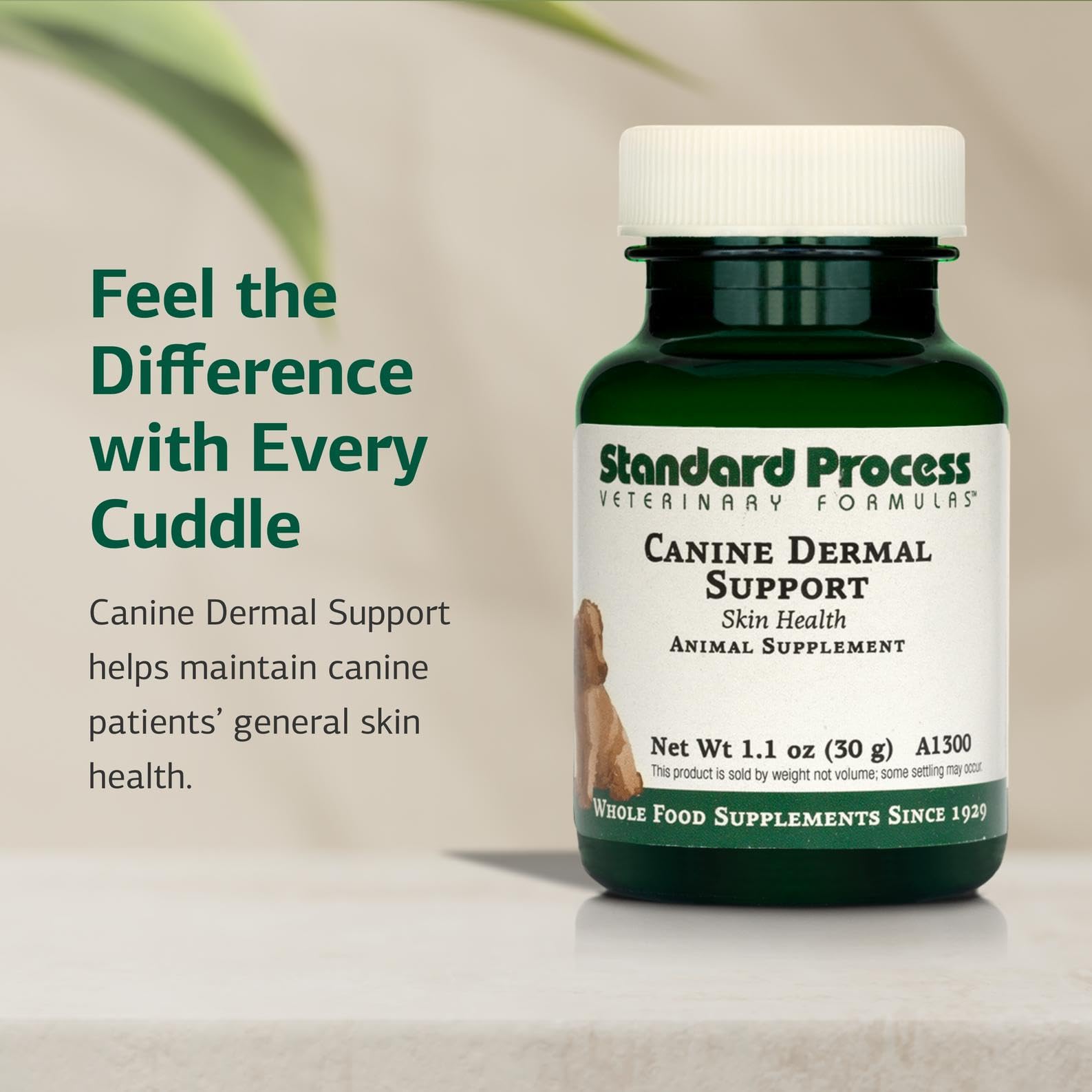 Standard Process Canine Dermal Support: apoyo hepático y digestivo para perros activos.