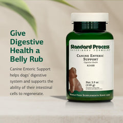 Standard Process Canino Regeneración Celular intestinal para la salud intestinal.