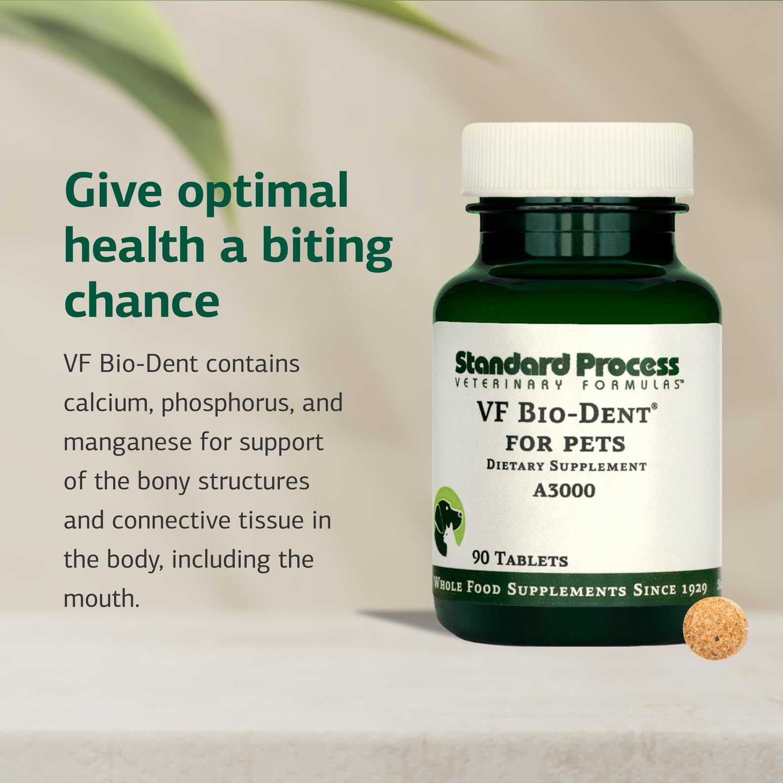 Mascota consumiendo comida con VF Bio-Dent como suplemento