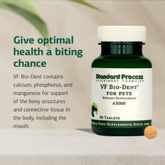 Mascota consumiendo comida con VF Bio-Dent como suplemento