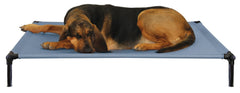 Starmark Dog Zone XL con cama-hamaca para reposo cómodo fuera del suelo.