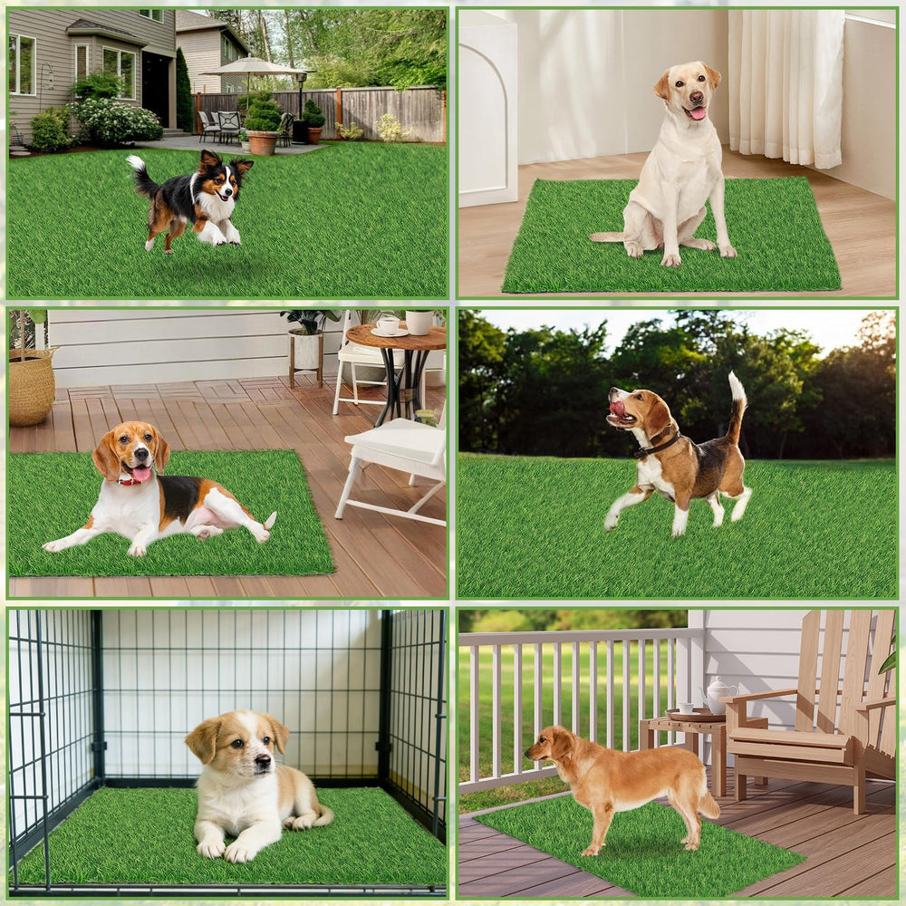 STARROAD-TIM atención al cliente y soporte para césped artificial de perros.