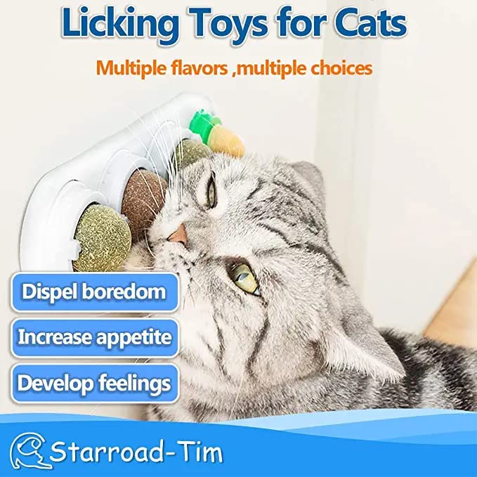 STARROAD-TIM base cerrada con tapa transparente conserva sabor