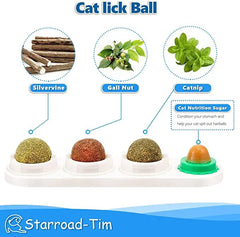 STARROAD-TIM bolas catnip con sabores variados para mantener interés