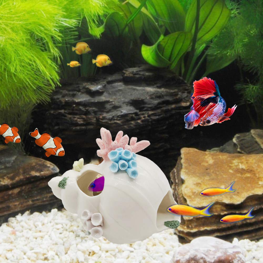 Starryfill Concha cerámica blanca, decoración segura para acuarios y refugio para peces