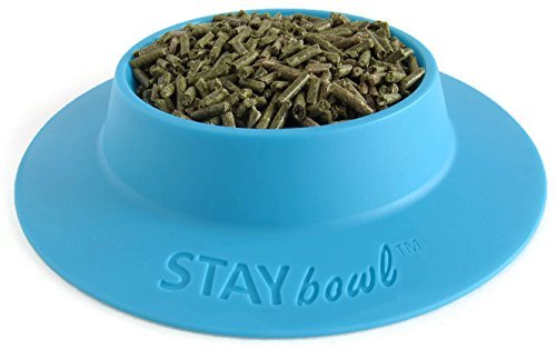 STAYbowl tazón de 3/4 de taza para porciones medidas y conveniencia diaria