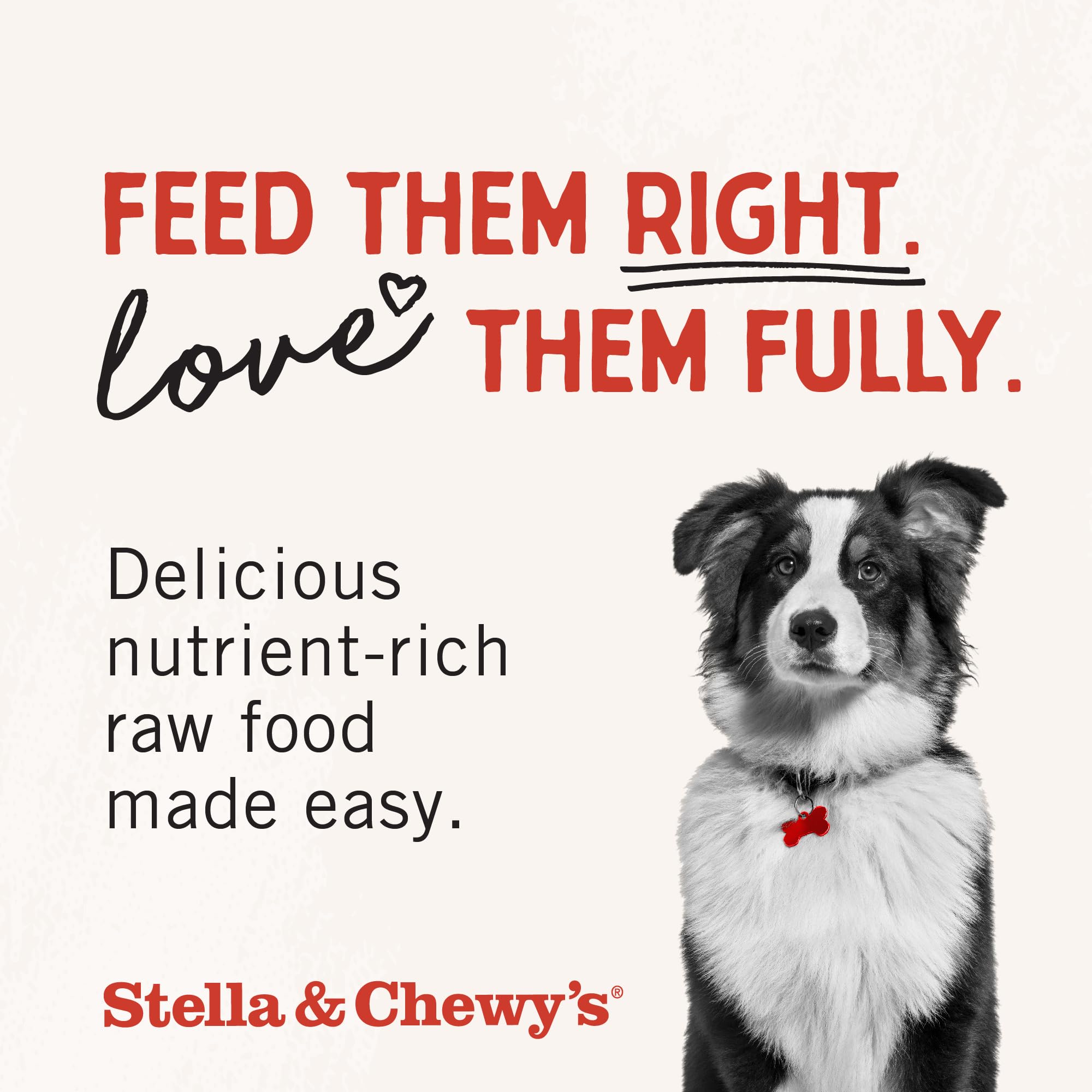 Stella & Chewy's aroma suave, estimulando el apetito durante la comida.