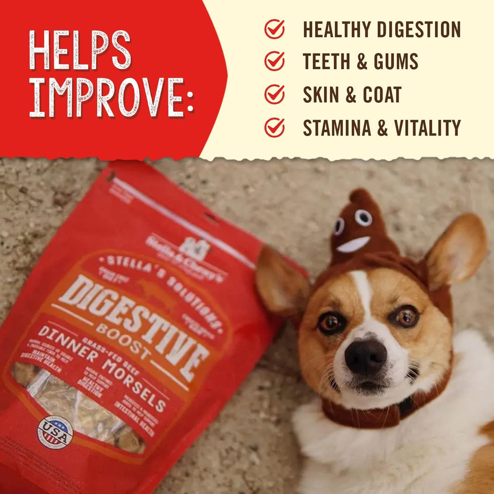 Bol servi avec Stella & Chewy's, préparation pratique pour digestion en douceur.