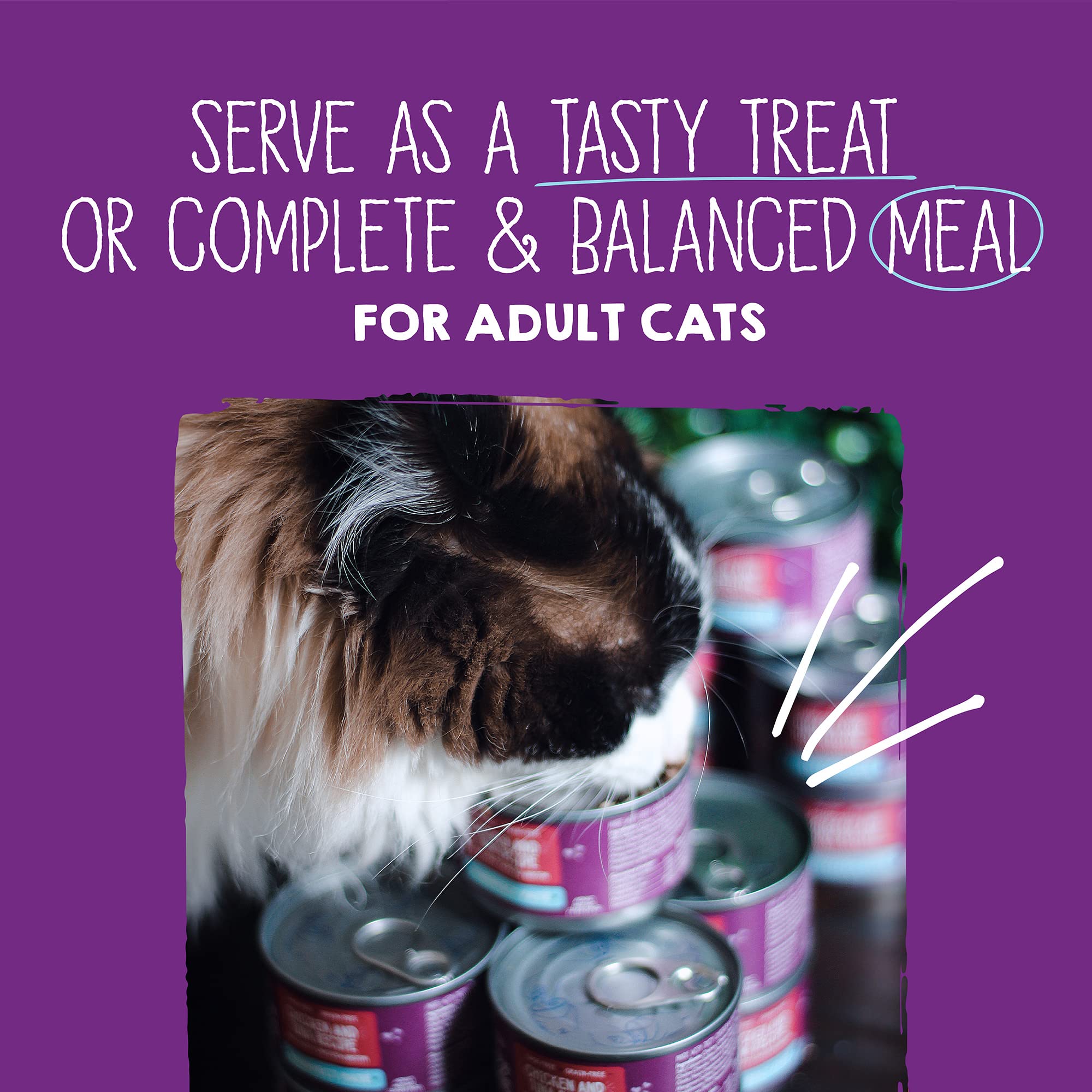 Conjunto de doce latas Stella & Chewy's Paté para gatos, opción completa