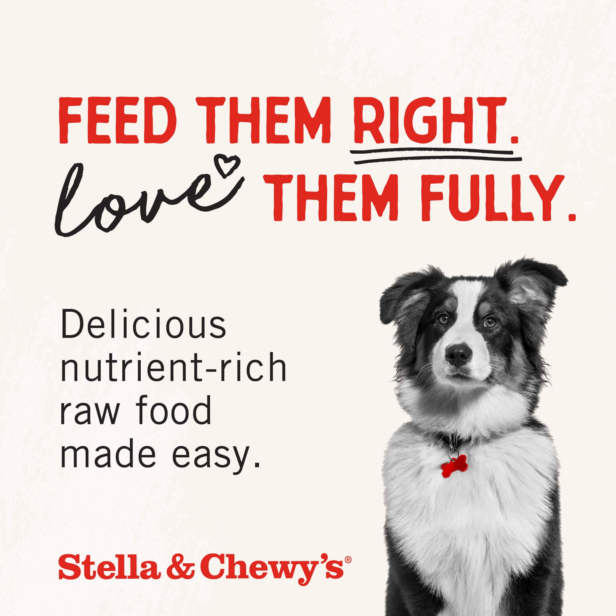Producto hecho en Estados Unidos: corazón de cordero de Stella & Chewy's.