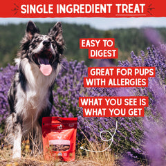 Stella & Chewy's, ingrediente único-corazón-pollo, snack sencillo para perros sensibles