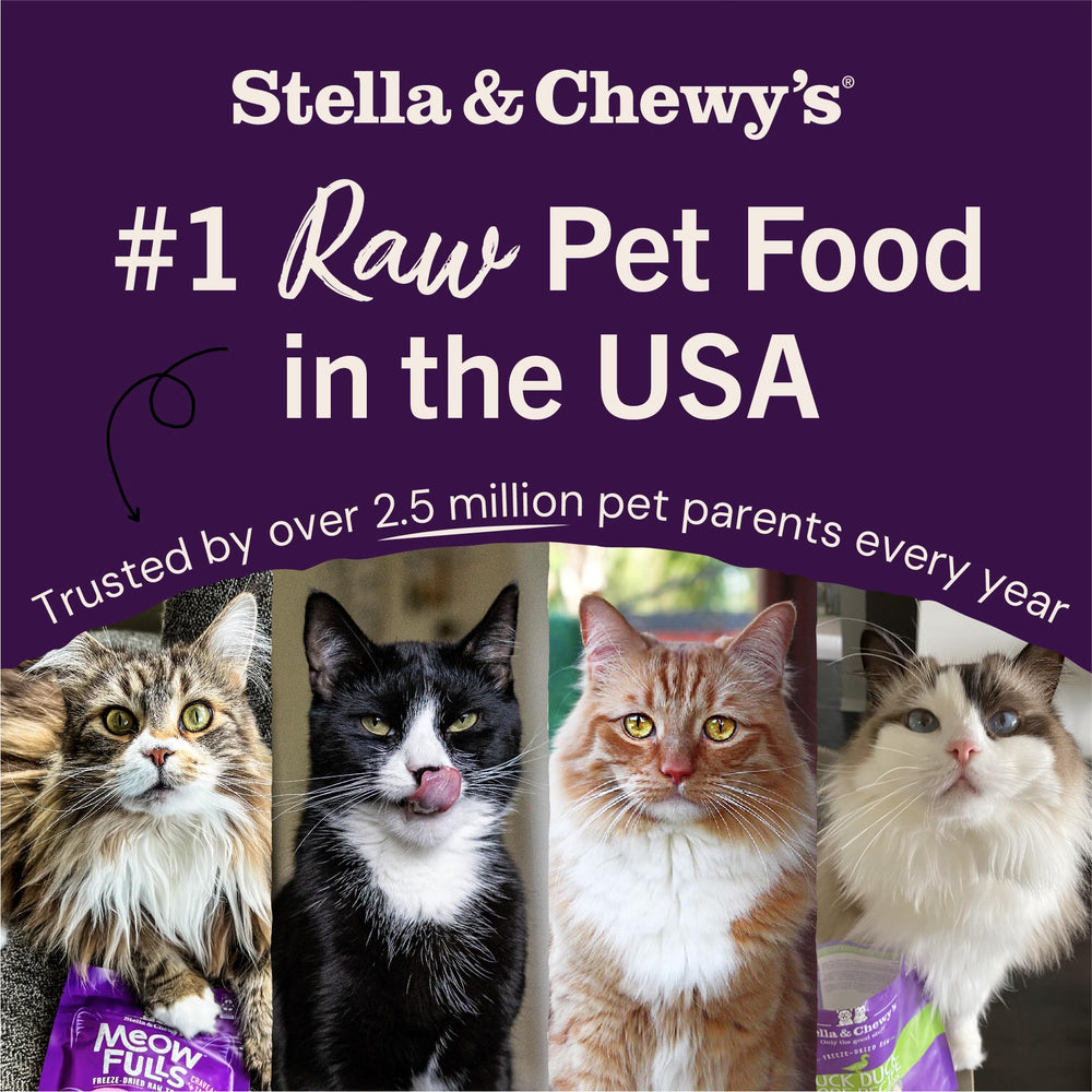 Stella & Chewy's Polvo Mágico ideal para mezclar con comida húmeda