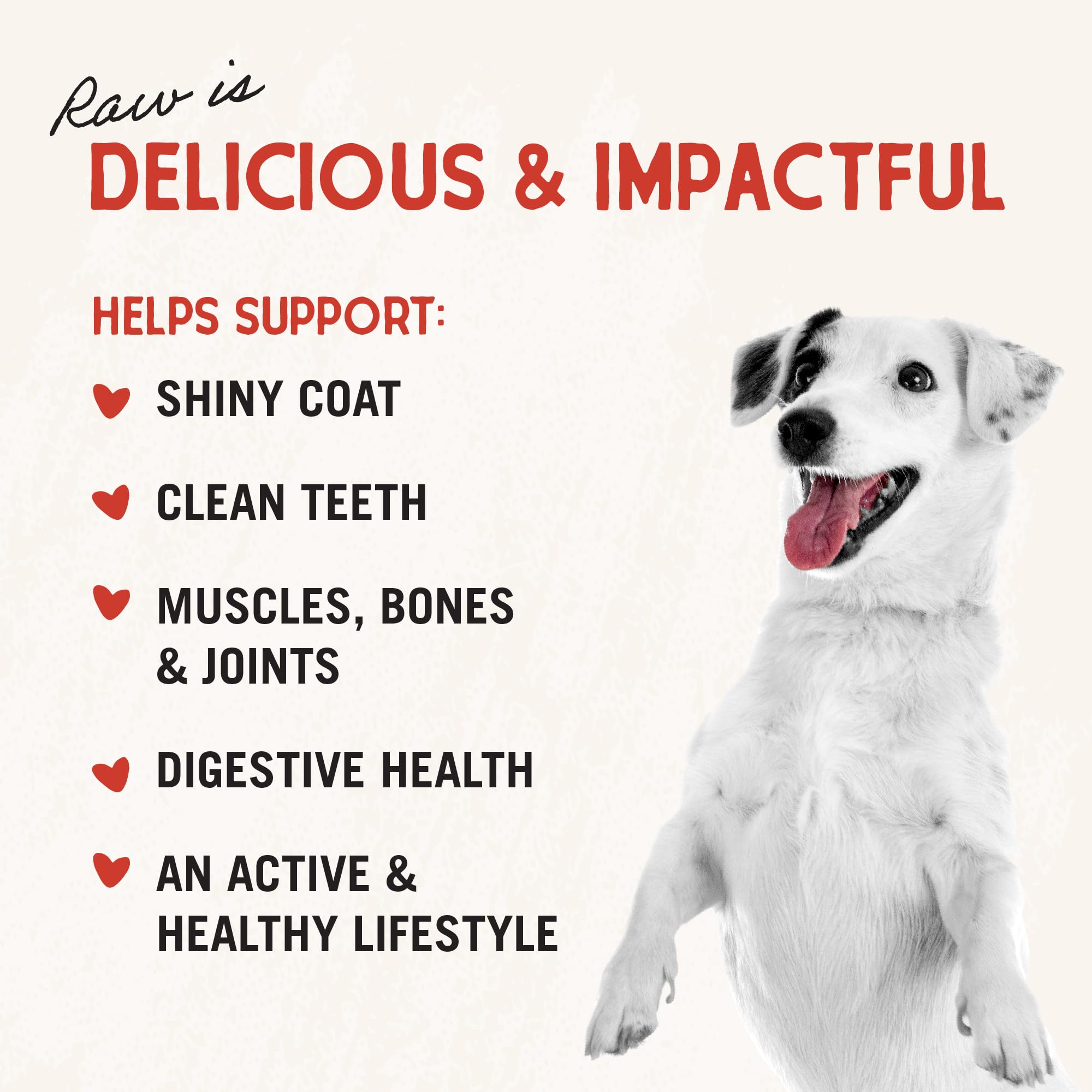 Stella & Chewy's probióticos digestivos, apoyo suave para el tracto intestinal.