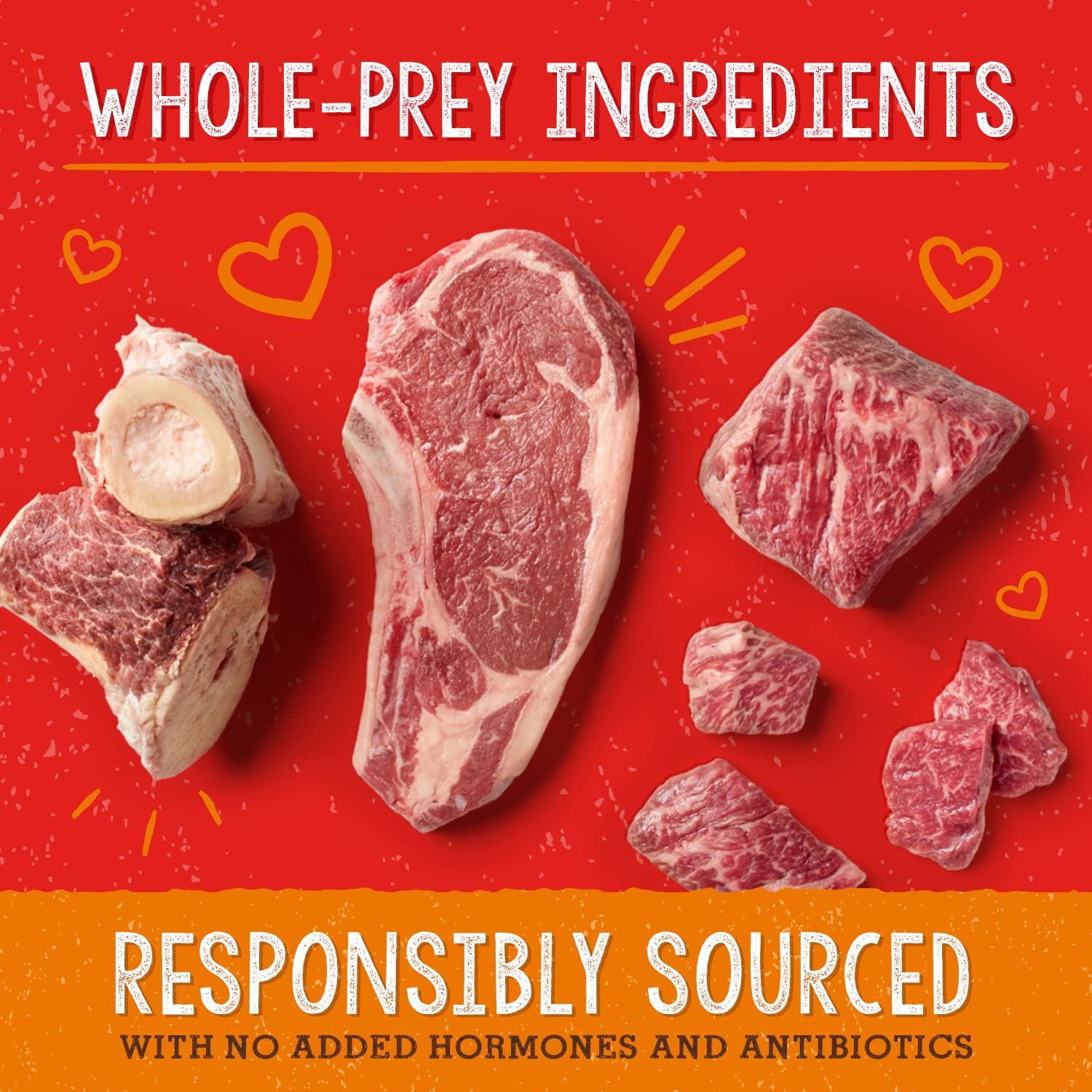 Probioticos y prebióticos en Stella & Chewy's para flora intestinal equilibrada