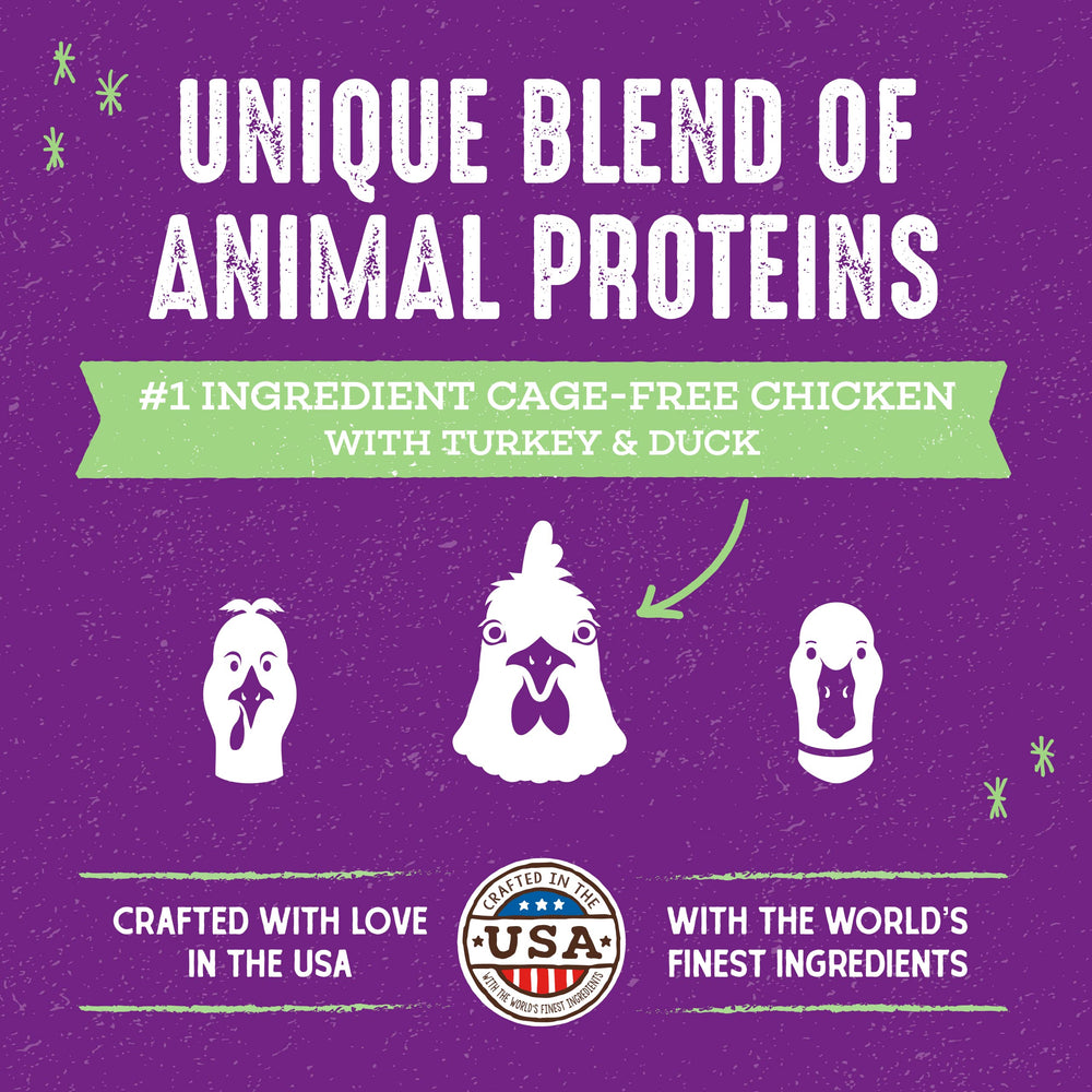 Stella & Chewy's Raw Blend Kibble con pollo cage-free como ingrediente principal
