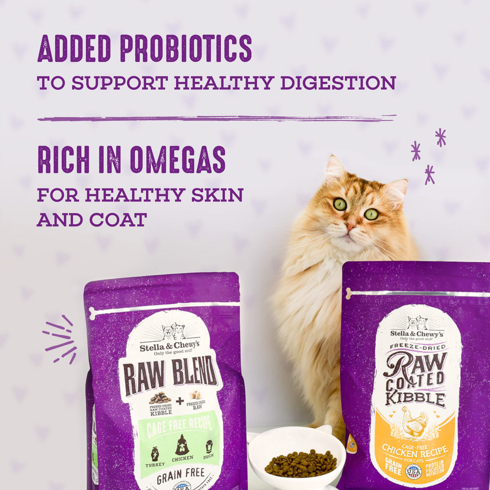 Stella & Chewy's Raw Blend Kibble con probióticos para digestión