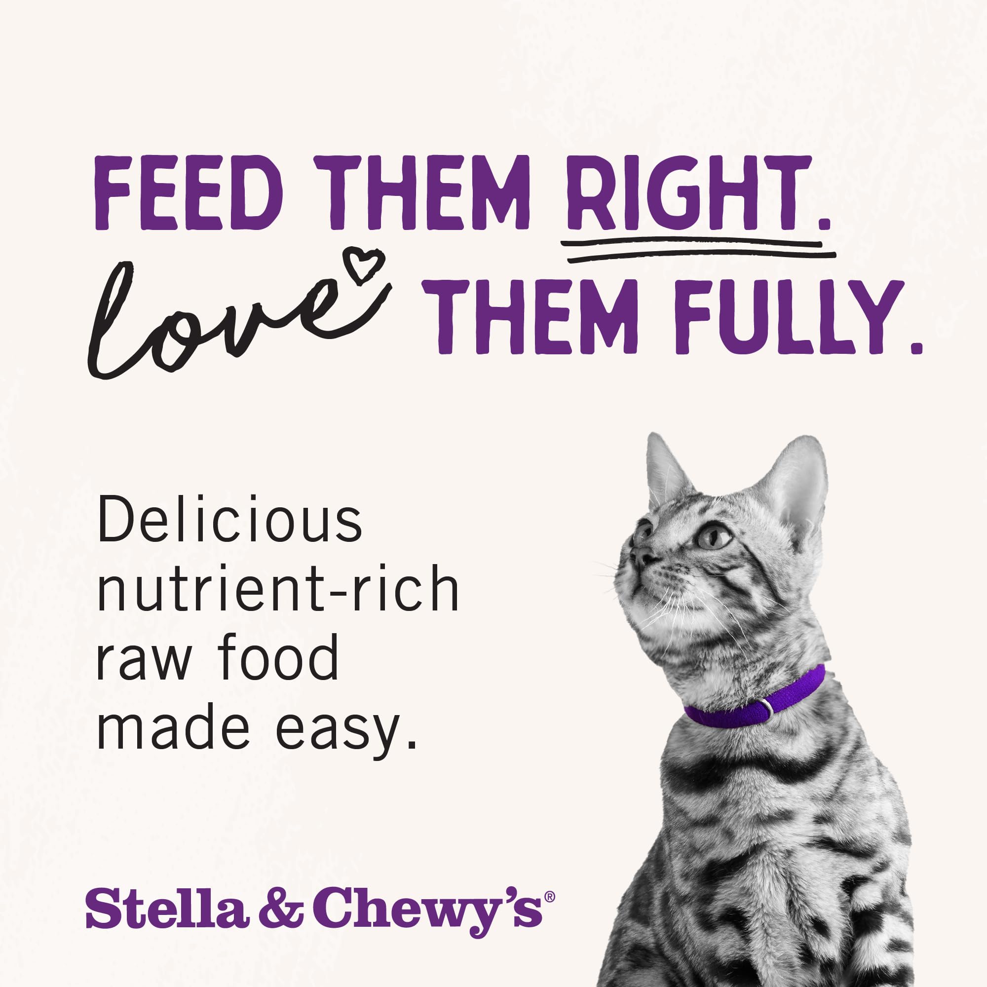 Stella & Chewy's salud del pelaje con salmón y pollo para gatos.
