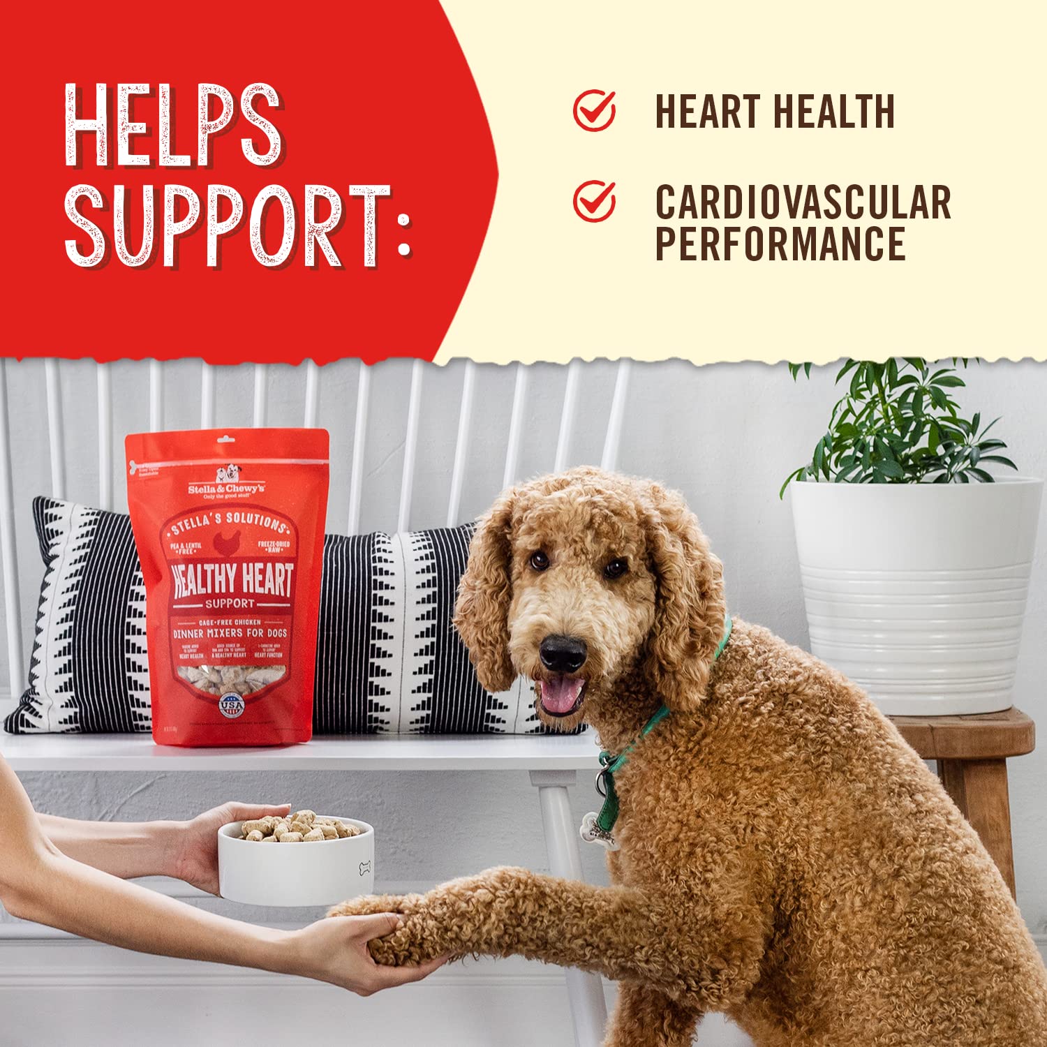 Stella & Chewy's Sardinas: DHA/EPA y ácidos grasos para energía.