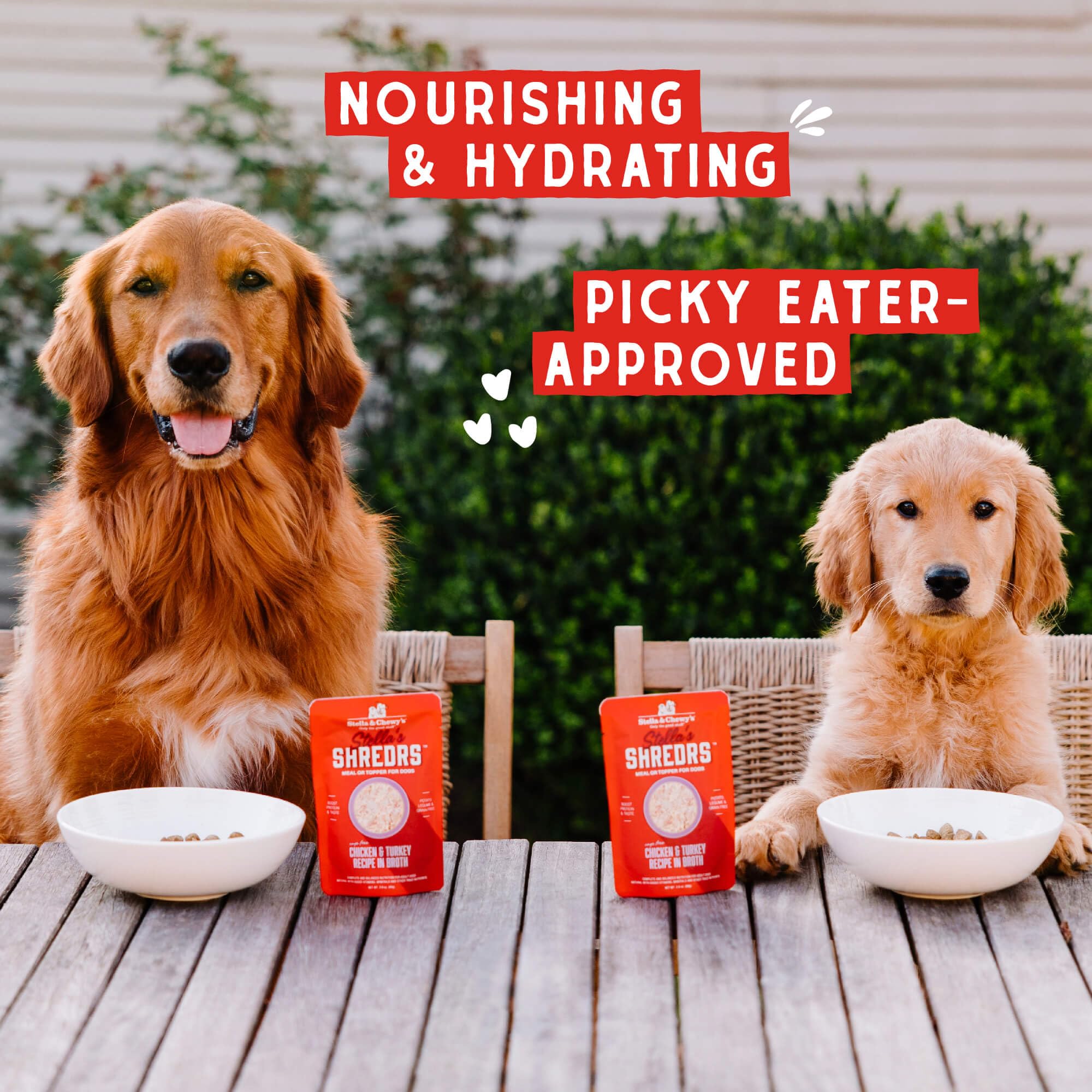 Stella & Chewy's Shredrs carne y salmón, proteína premium para perros exigentes.