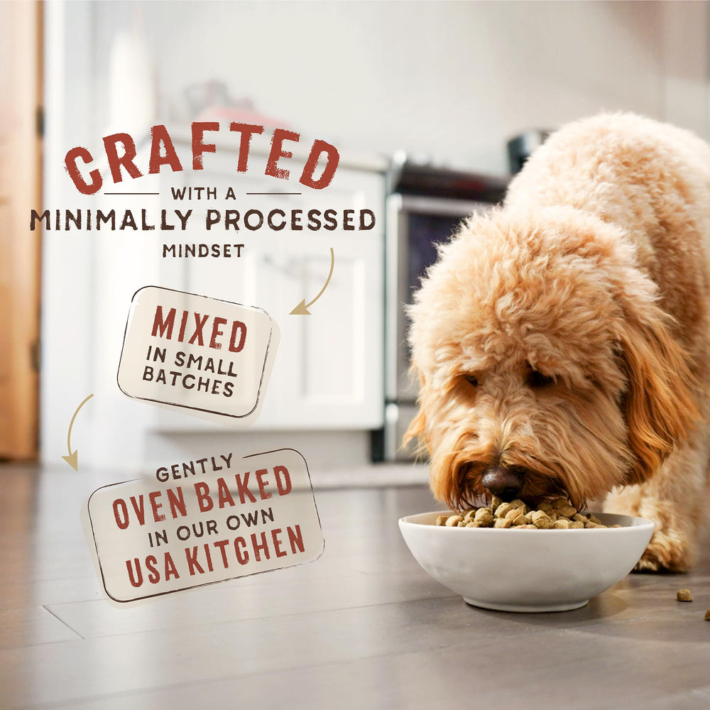 Stella & Chewy's granos enteros y avena: fuente de energía para días activos.