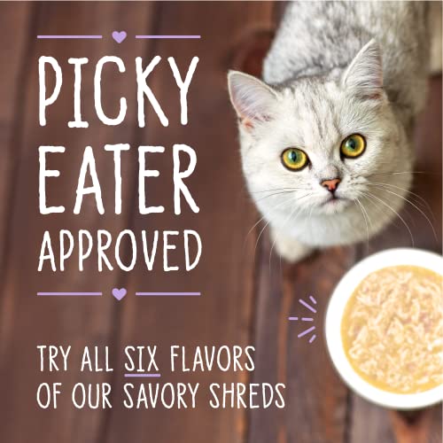 Stella & Chewy's Carnivore Cravings: presentación en lata de 80 g, opción completa