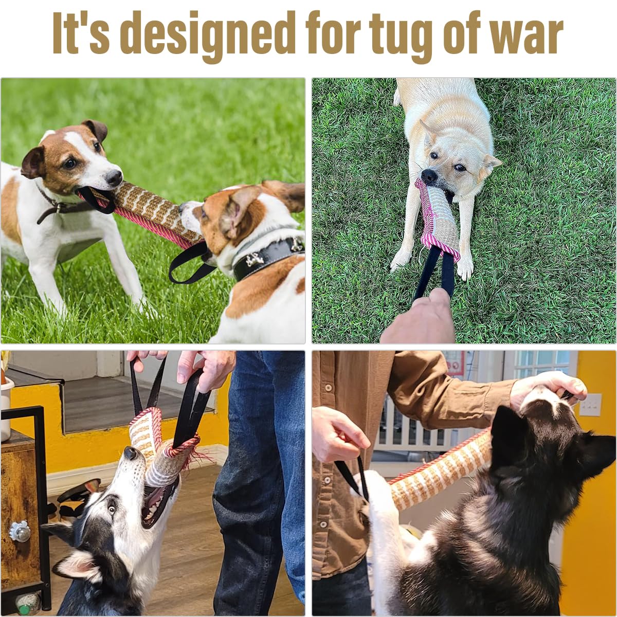 Storystore juguete para perros pequeños y medianos: tamaño ideal para sostener.