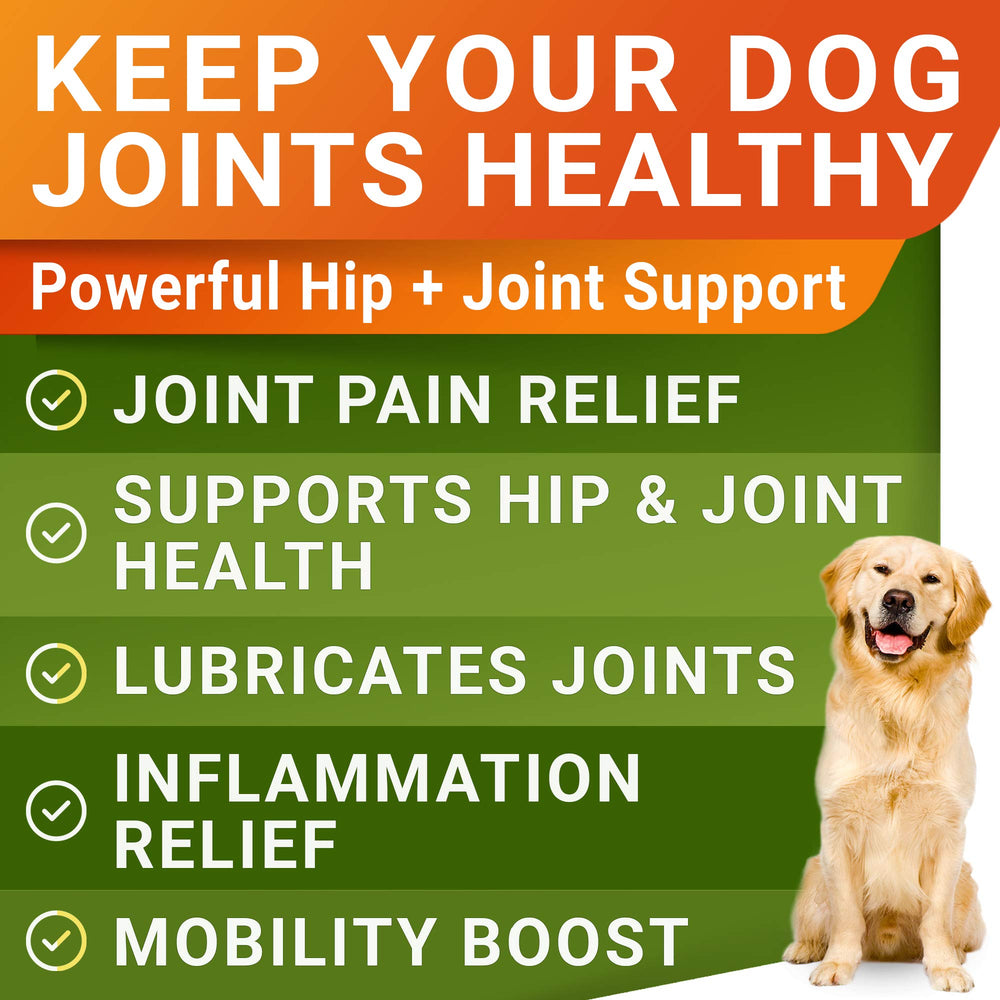 STRELLALAB Glucosamina para perros: masticables con condroitina para soporte articular.