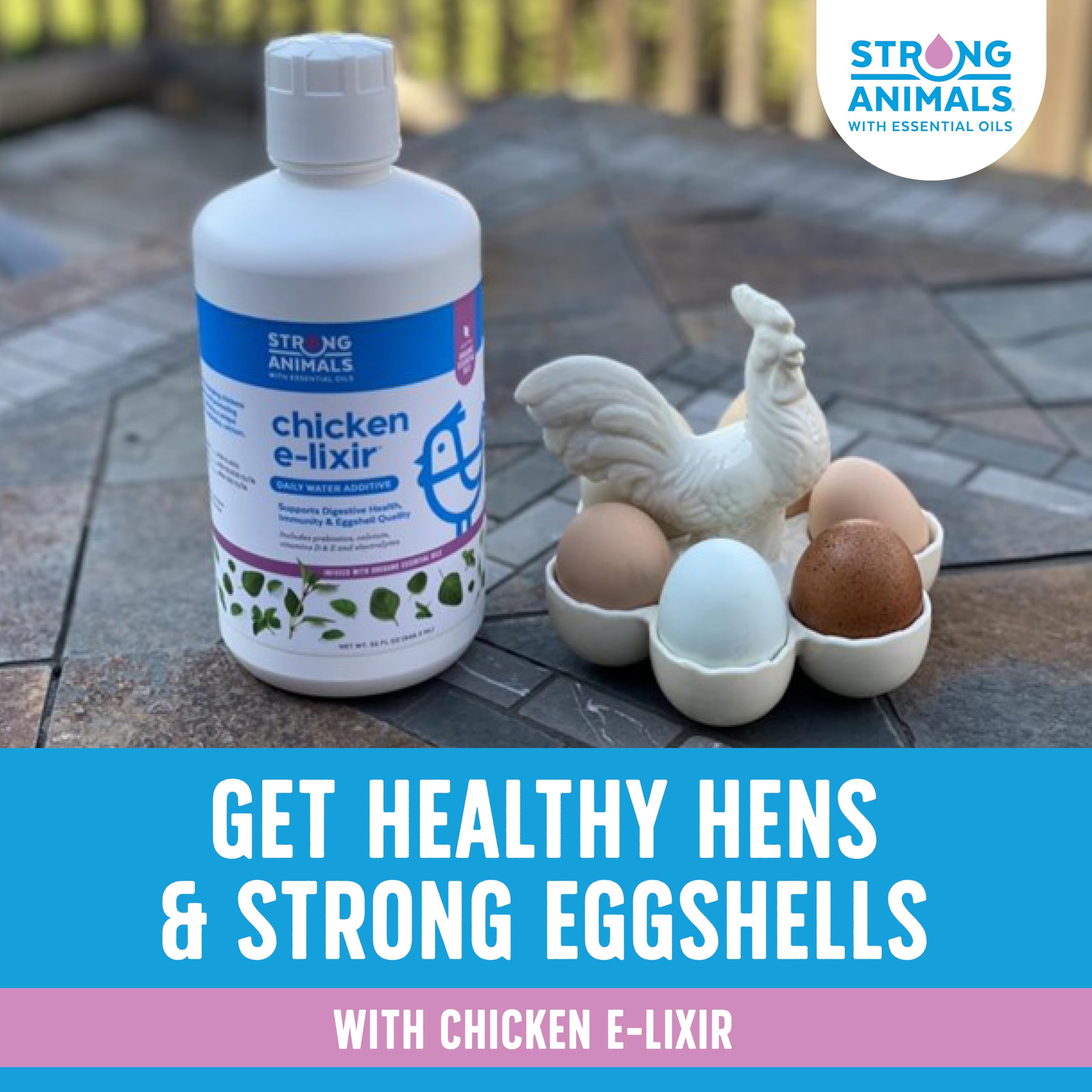 Strong Animals Chicken E-lixir, apto para ponedoras y aves de corral de todas las edades