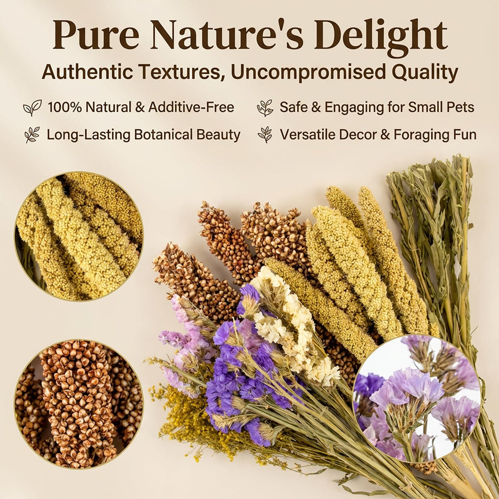 Sukh decoración natural para jaula ideas de diseño y enriquecimiento.